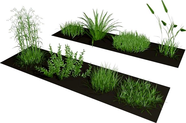 Herbage Various Set