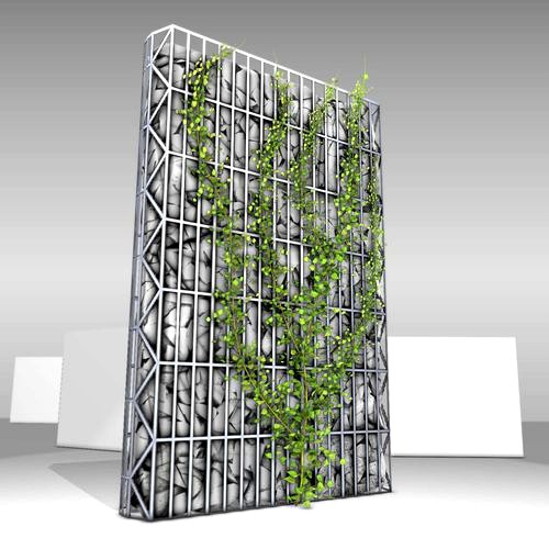 Ivy Vine on Gabion Wall - Version 2