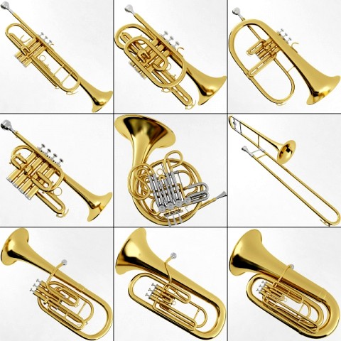 Brass Musical Instrument Collection 3D Model