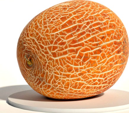 Melon