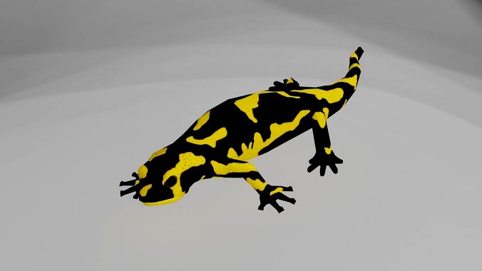 Low poly salamander