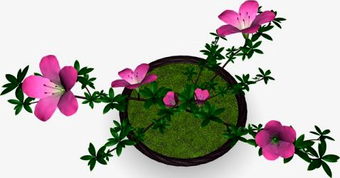 Japan azalea pot 3D Model