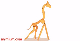 CAT Rig Giraffe
