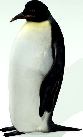 Penguin 3D Model