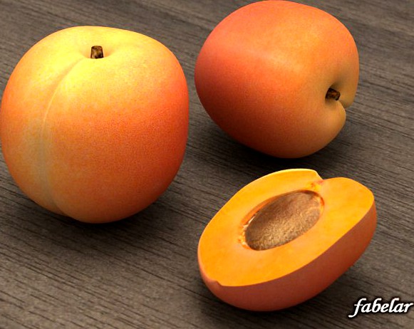 Apricot 3D Model