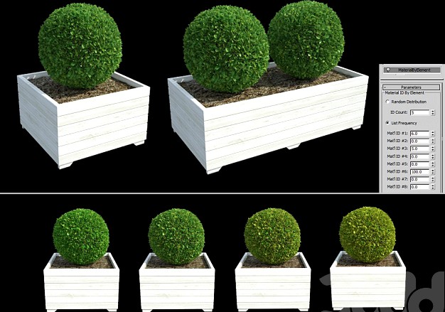 Bushes