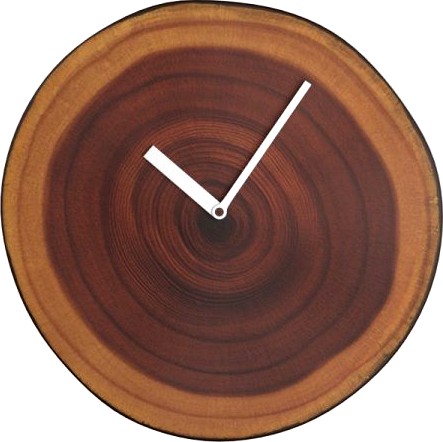 Download free Wall Clock WoodTime 3D Model