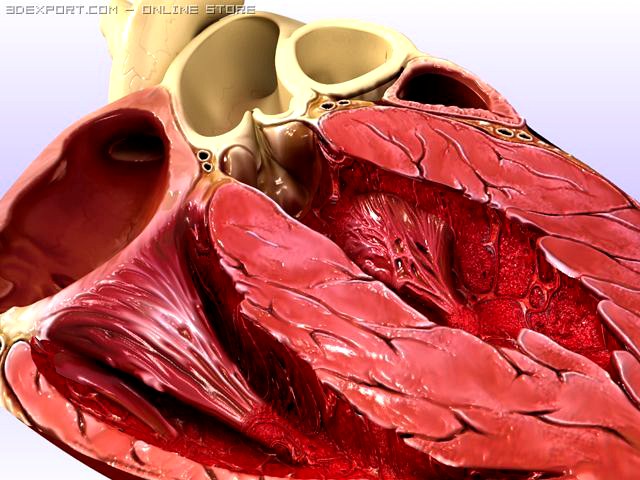 Heart cross 3D Model