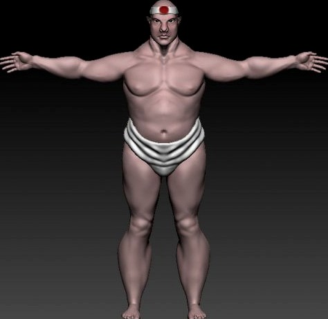 Sumo 3D Model