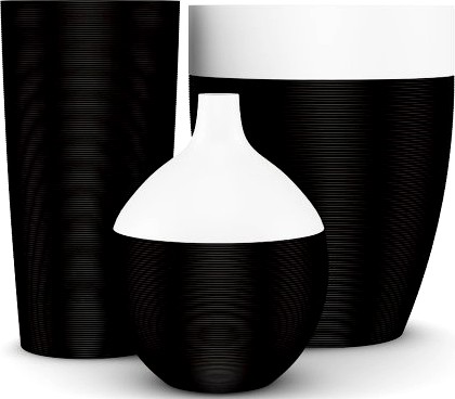 Black and White Vases 3D Model