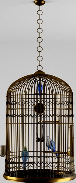 Cage for parrots 3