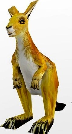 Red Kangaroo
