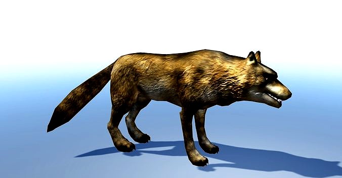 wolf 3d Model
