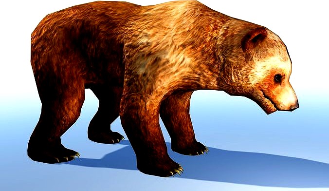 Bear 3D Model