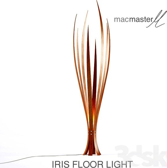 Iris floor light