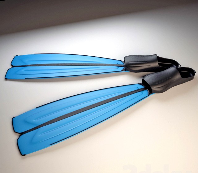 flippers