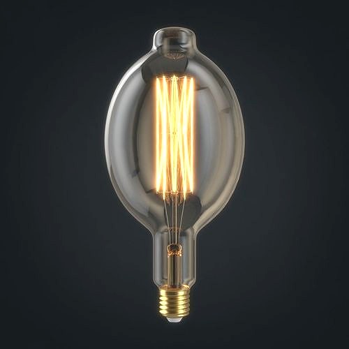 Light bulb 24