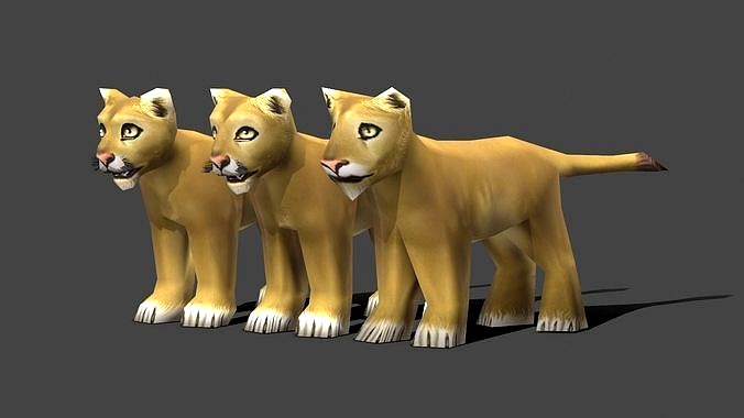 Lion Young - Low poly Animal