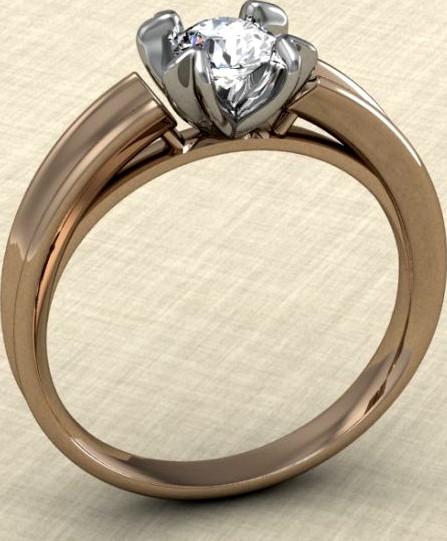 Ring 15 3D Model