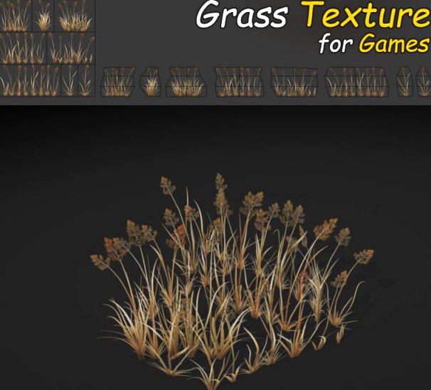 Dry BentGrass 3D Model