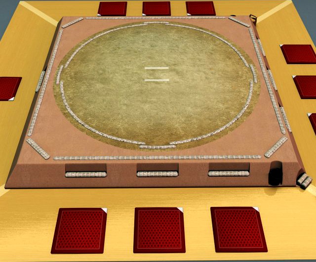 Sumo ring 3D Model