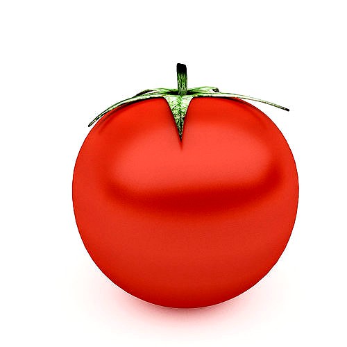 3D Tomato Model