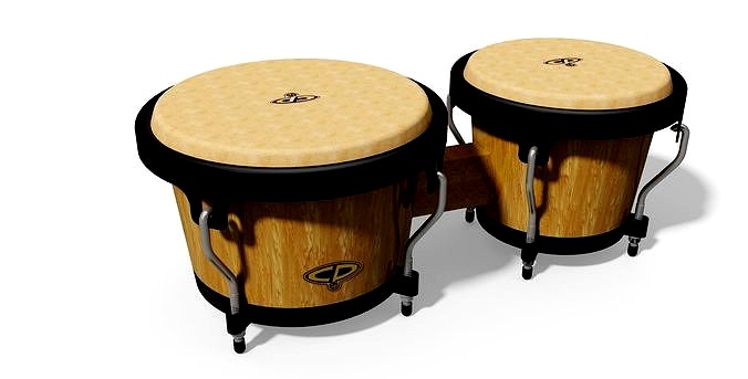 Bongo