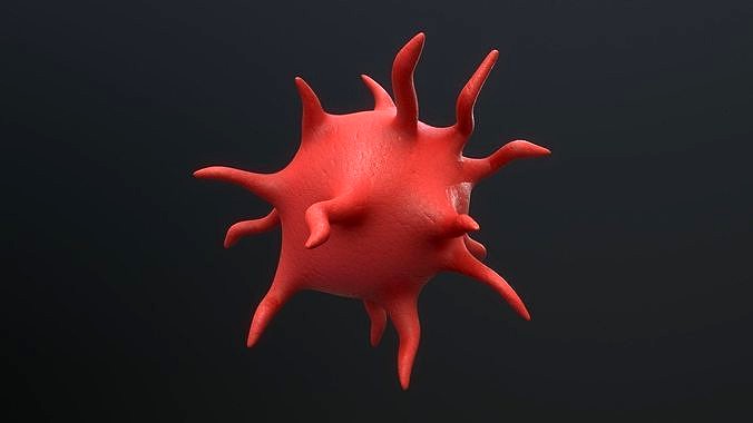 Platelet Thrombocyte