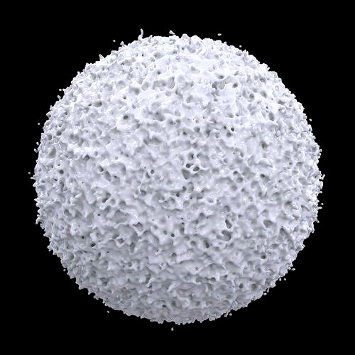 Lymphocyte