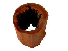 Knotty Trunk