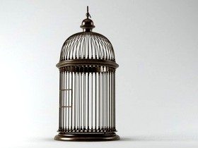 Birdcage