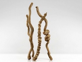 Column Rope