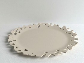 Cutaway Plate