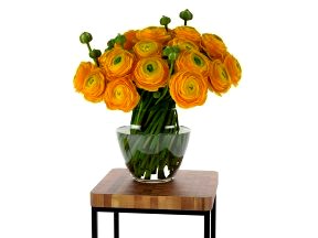Orange Ranunculus