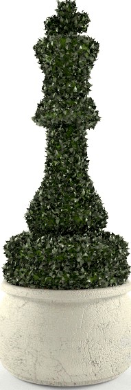 Topiary King