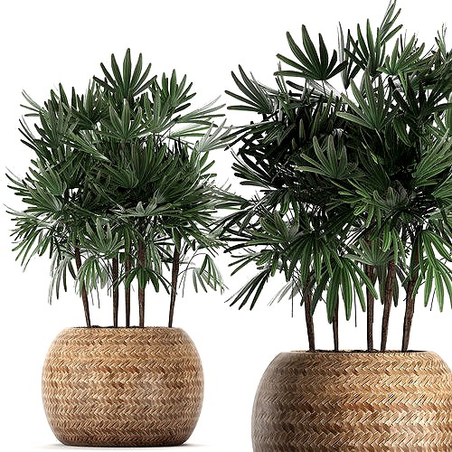 Decorative palm tree in a pot 416