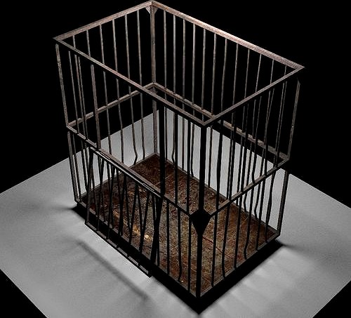 Asylum Cage Model