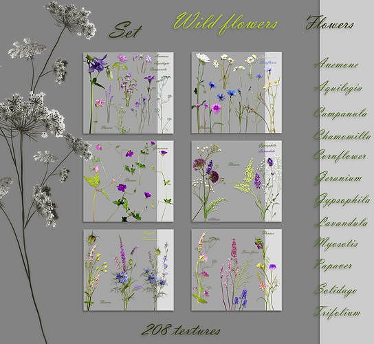 A set of textures wild flowers