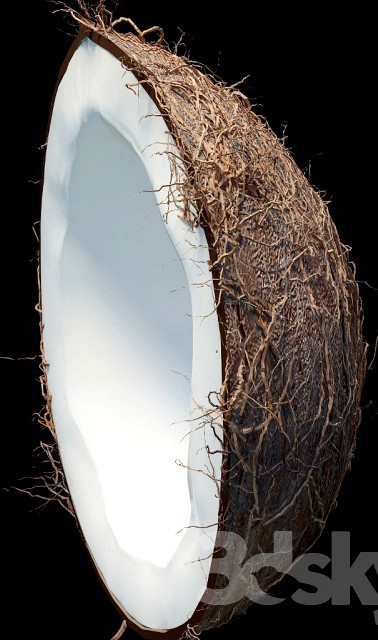 Coconut