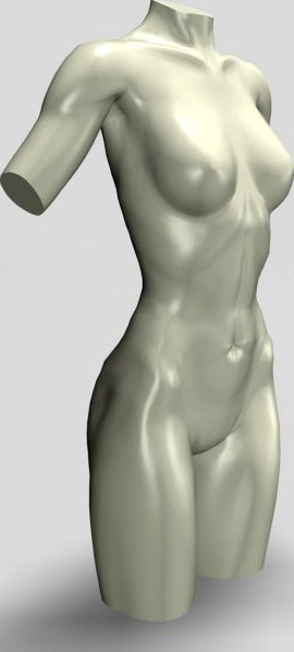 Female Torso Statue 12011 3D Model