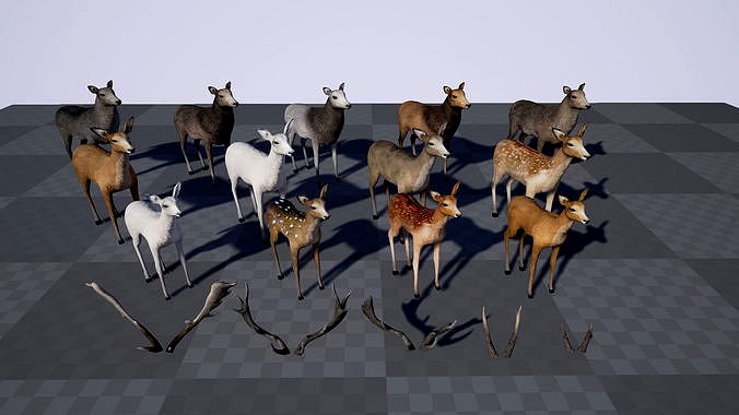 Deer Modular Pack