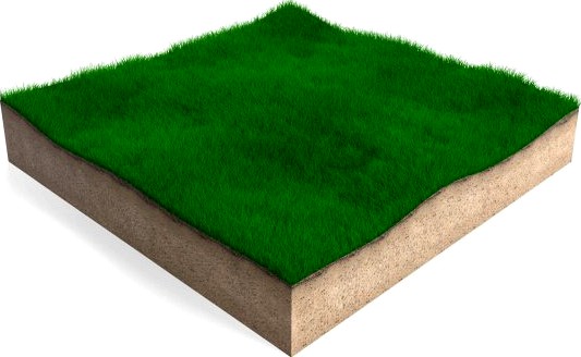 Rectangular Grass Patch 3D Model