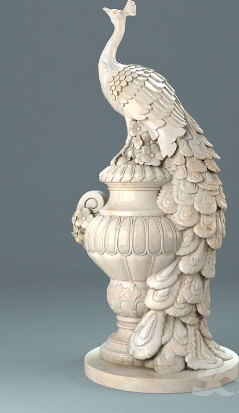 Drinker Peacock.