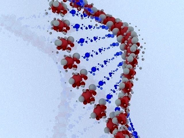 DNA model 3