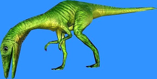 comp 3D Model