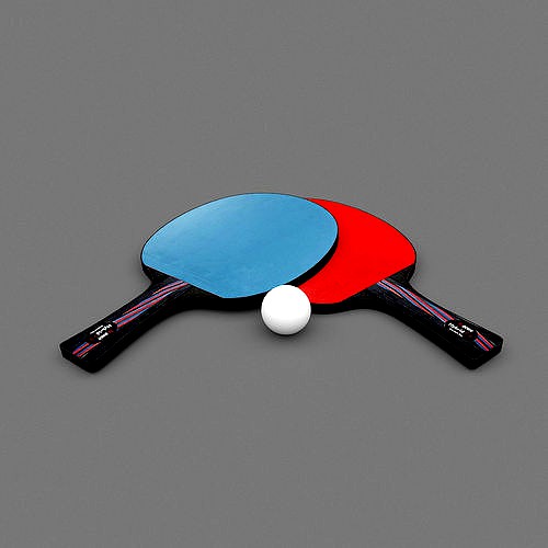 3D Racket Model