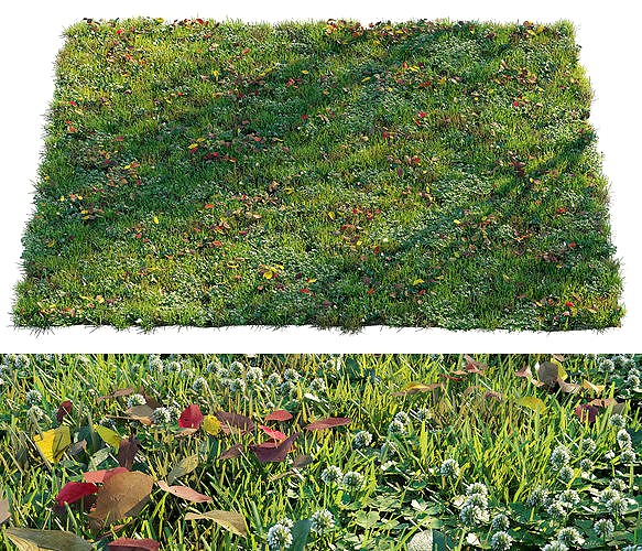 Grass set 2