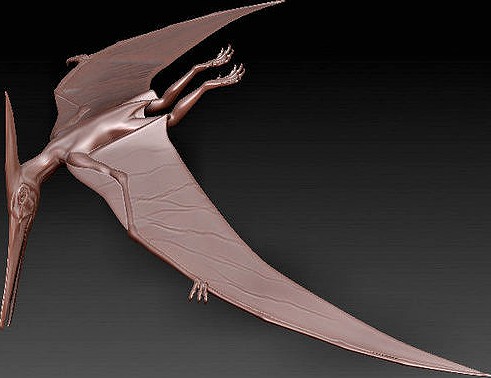 Pterodactylus | 3D