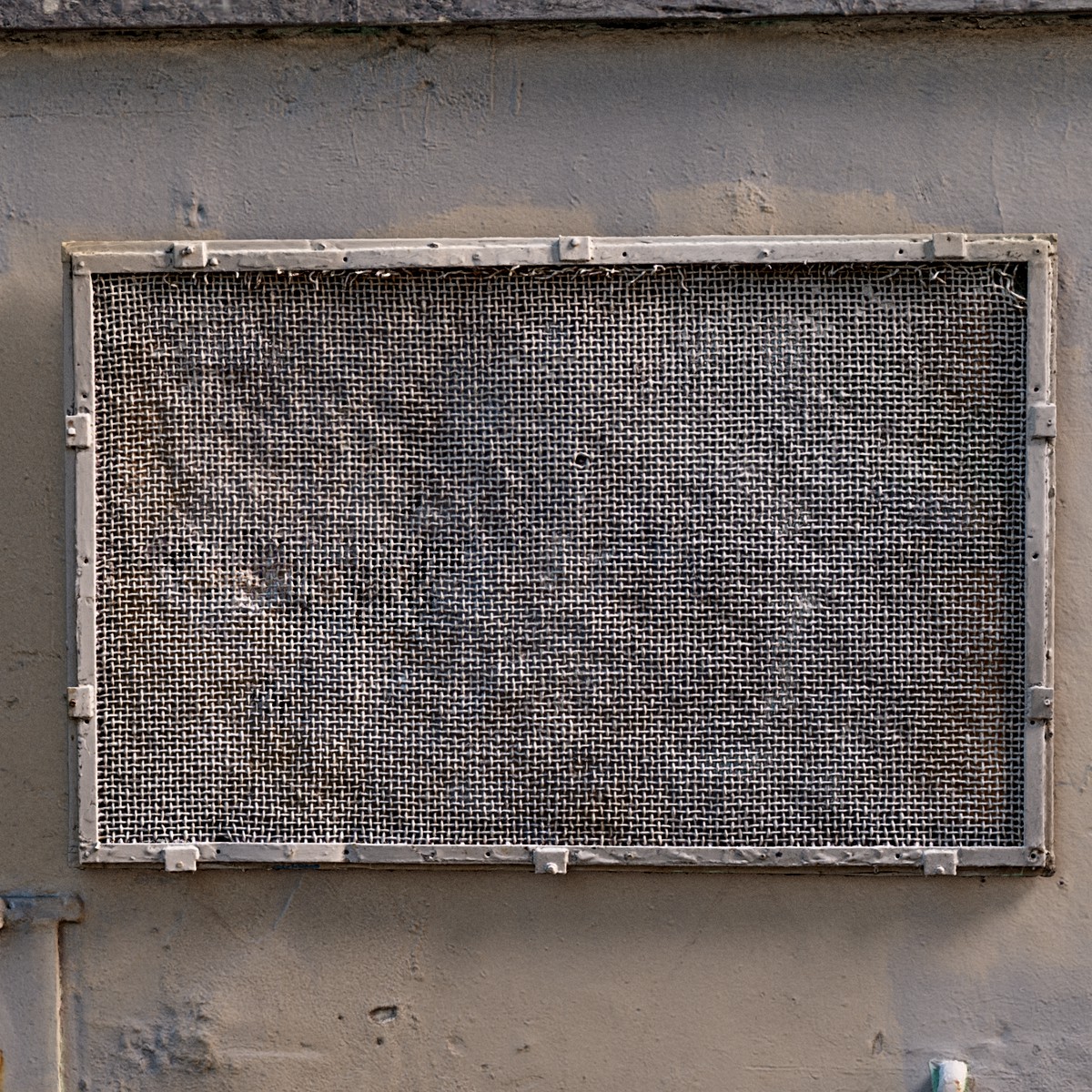 Old, painted fine-mesh screened window