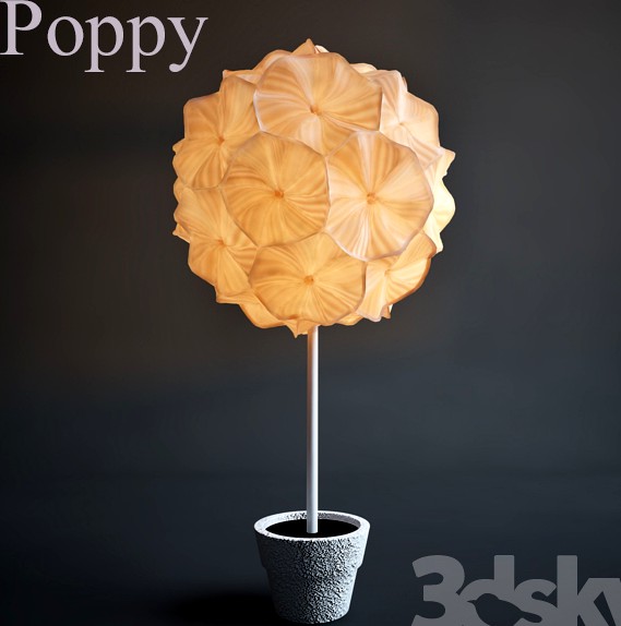 Poppy